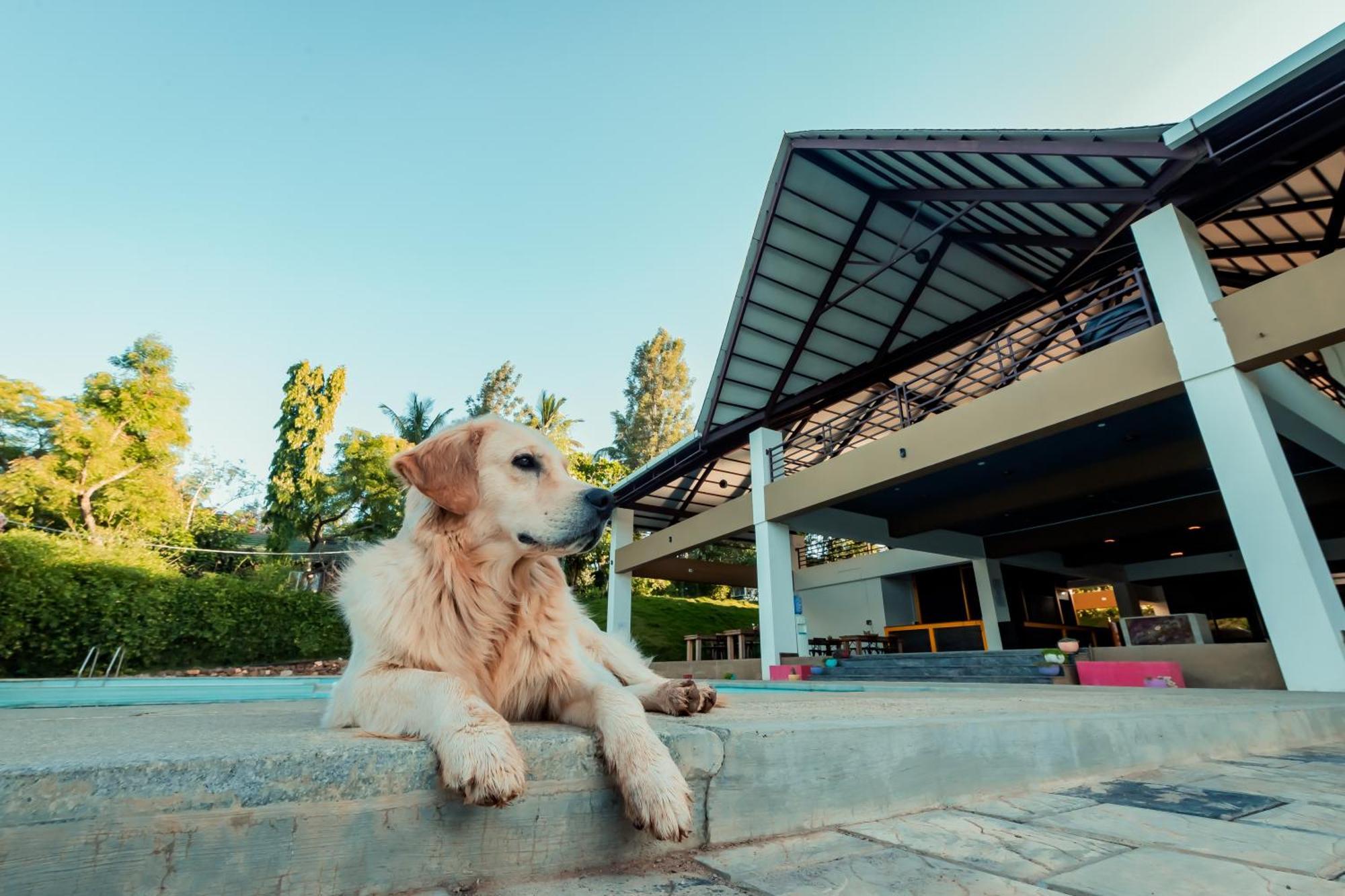 Commune18 Spa Resorts จิกมากาลูร์ ภายนอก รูปภาพ