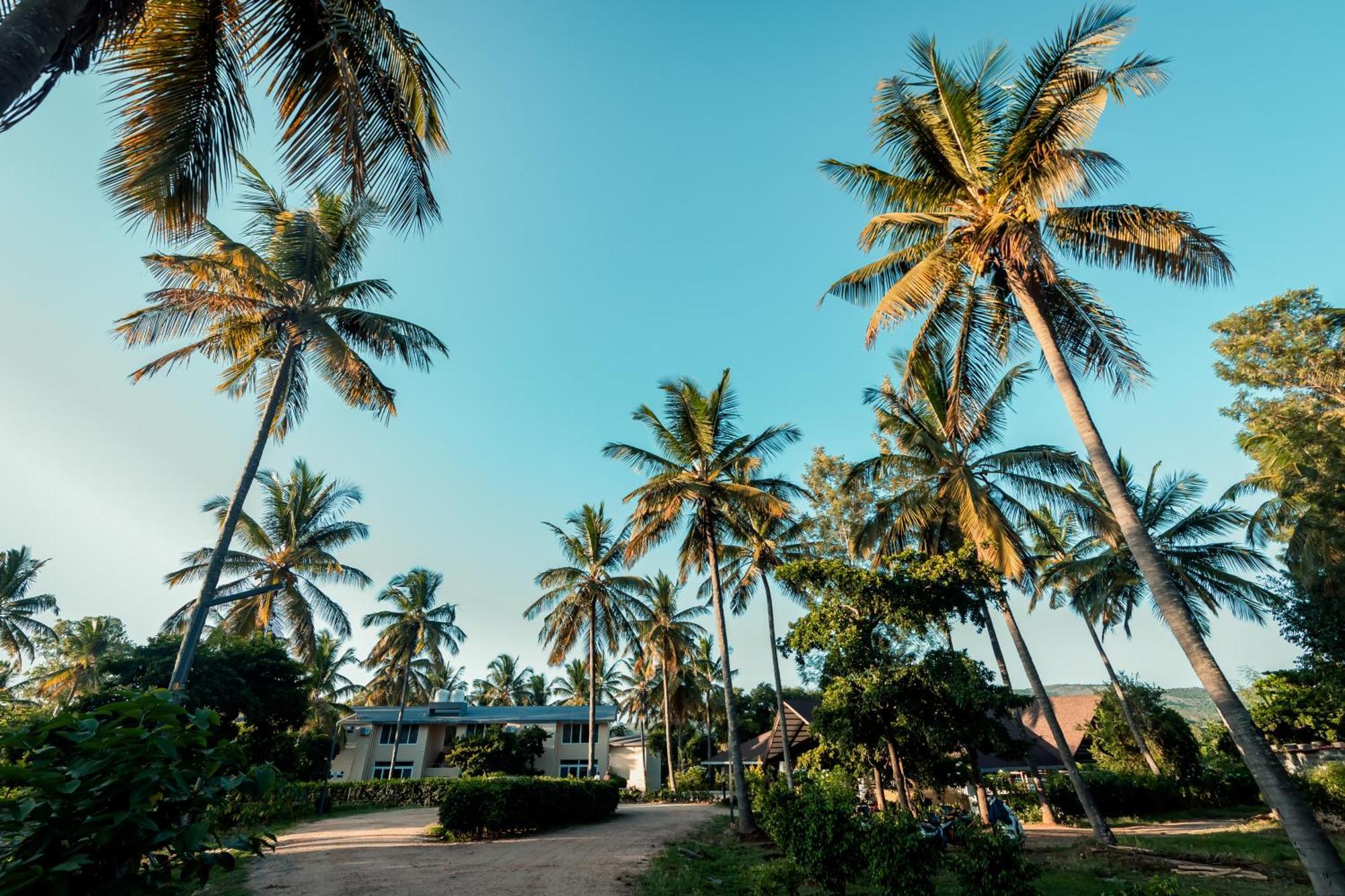 Commune18 Spa Resorts จิกมากาลูร์ ภายนอก รูปภาพ