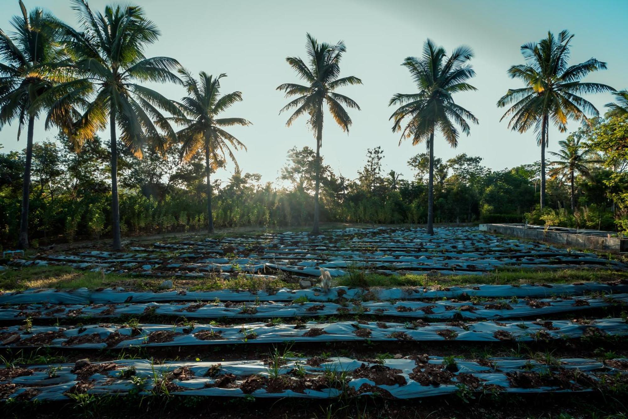 Commune18 Spa Resorts จิกมากาลูร์ ภายนอก รูปภาพ